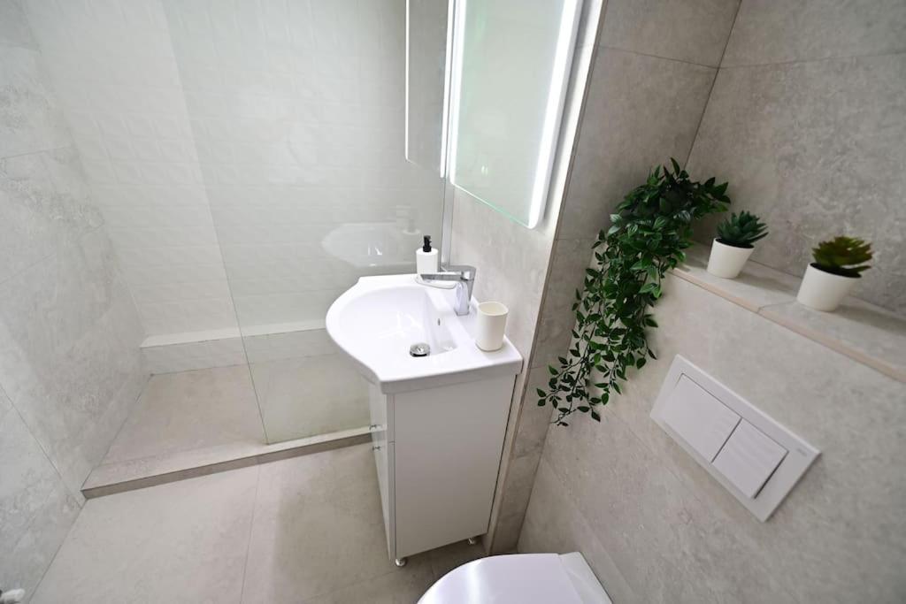 Flh - Apartament Damar 锡比乌 外观 照片